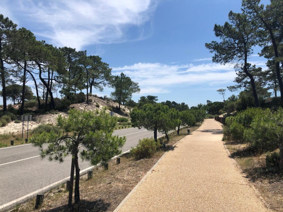 Apartament Beautiful Penthouse With Terrace - 4 Minute Walk To The Troia